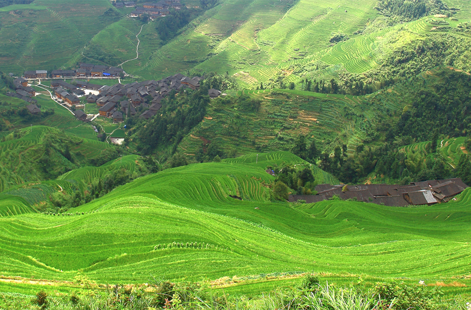 大寨村