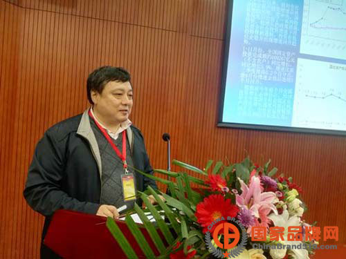 第七届中国民营自主创新企业品牌大会在京举行发改委投资所副所长、博士生导师汪文祥讲话（孟立强摄）