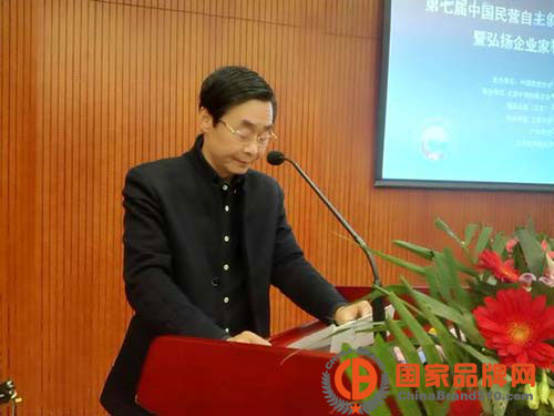 第七届中国民营自主创新企业品牌大会在京举行   中国信息协会民营企业分会副会长杨立发做总结发言（孟立强摄）
