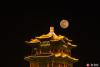 2月19日，市民来到北京永定楼赏月、拍照欢度元宵佳节。王保生/东方IC