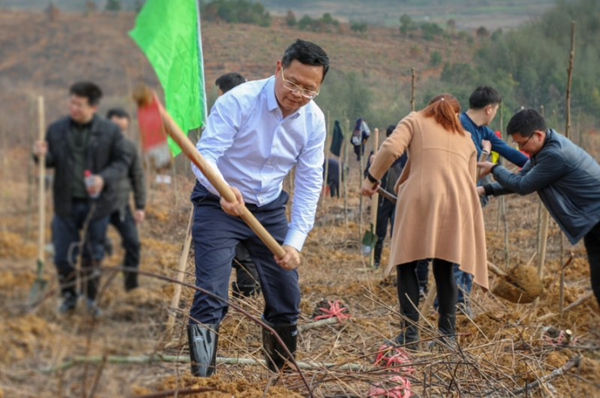 湖南东安：全民“增绿” 筑牢生态屏障