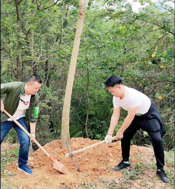 聚贤盛邦观音山公益植树行