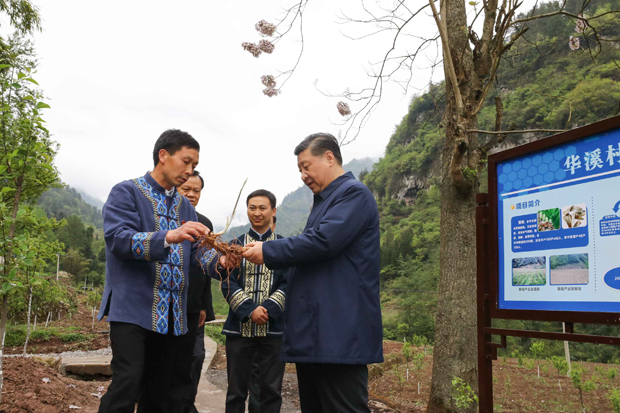 习近平在重庆考察调研