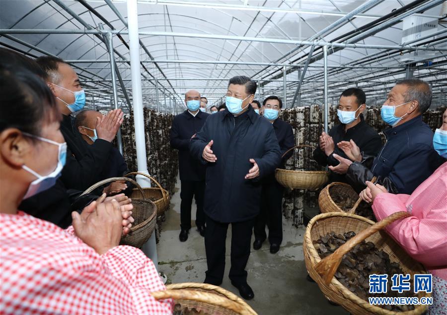 习近平在陕西考察    国家品牌网