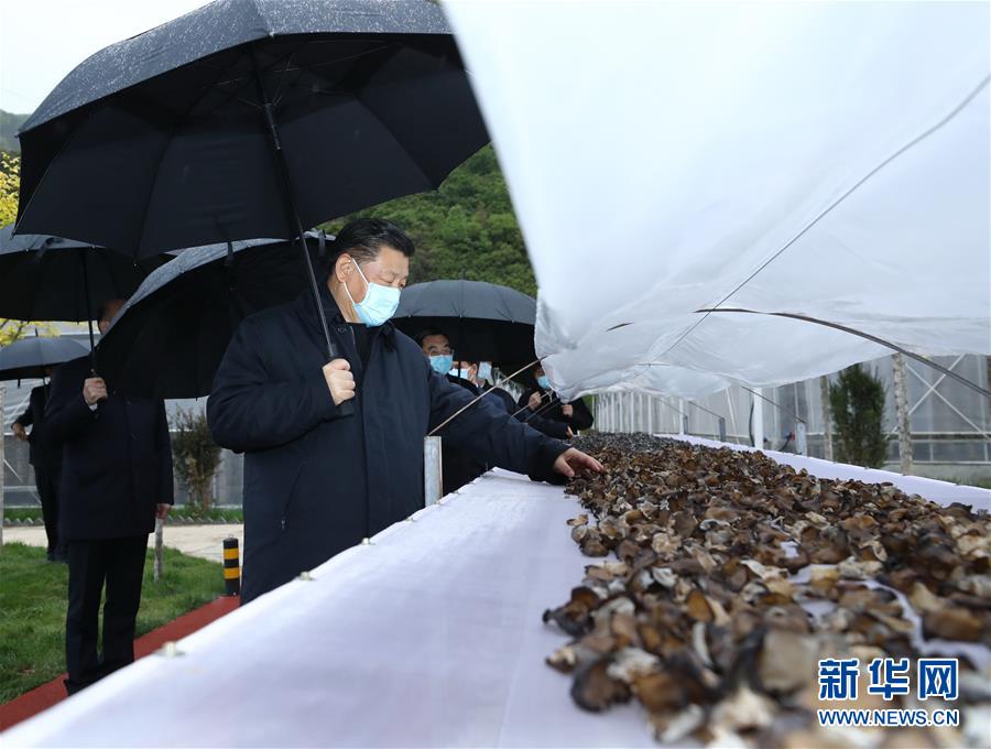 习近平在陕西考察    国家品牌网