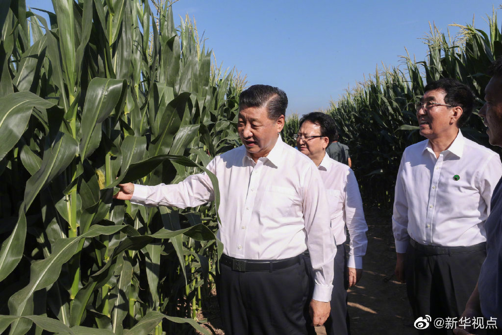 习近平赴吉林考察调研   国家品牌网