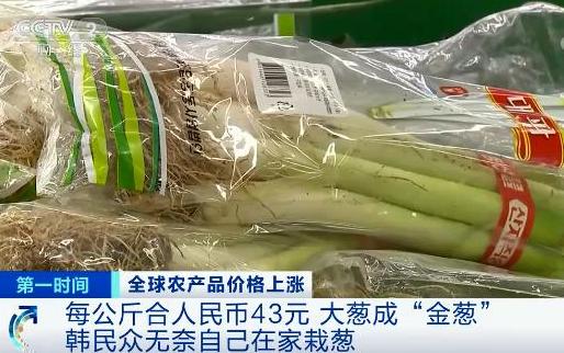 国际粮价暴涨，会影响中国人的“饭碗”吗？ 国家品牌网