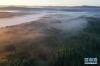 6月27日拍摄的塞罕坝国家森林公园晨景（无人机照片）。新华社记者 杨世尧 摄