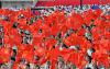 7月1日上午，庆祝中国共产党成立100周年大会将在北京天安门广场隆重举行。这是合唱团在准备。新华社记者 谢剑飞 摄