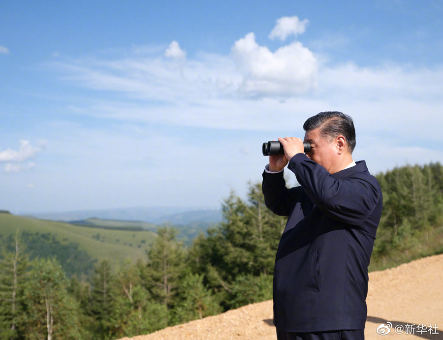 习近平在塞罕坝机械林场考察调研  国家品牌网