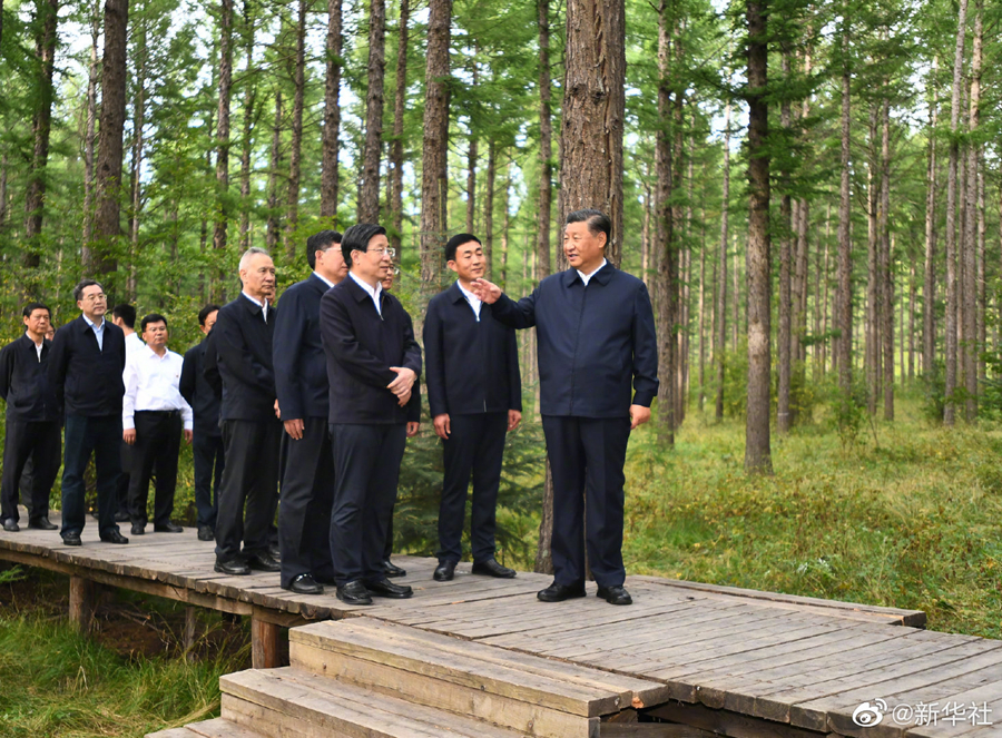 习近平在塞罕坝机械林场考察调研  国家品牌网