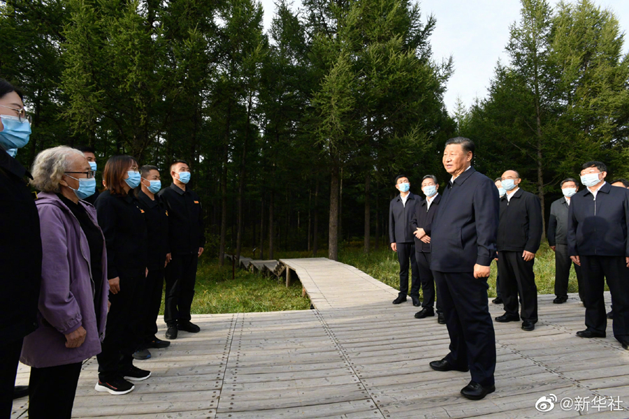习近平在塞罕坝机械林场考察调研  国家品牌网