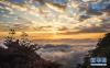 10月7日，在安徽黄山风景区拍摄的日出云海景观。新华网发（李金刚 摄）