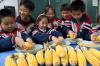 10月15日，河北省邯郸市邯山区实验小学开展“爱粮节粮 从我做起”主题教育活动，学生们进行剥玉米粒比赛。（郝群英 摄） 