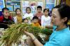 10月15日，江苏省连云港市连云区一家幼儿园，老师给孩子们讲解粮食知识。（王春 摄）