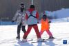 在长白山国际度假区滑雪场，一名小朋友在滑雪教练的指导下学习滑雪（11月19日摄）。新华社记者 许畅 摄