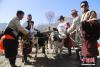 　2月24日，藏族民众用“二牛抬杠”的传统方式开启新春第一犁。中新社记者 马铭言 摄 