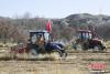 　2月24日，藏族村民正在进行机械耕作。中新社记者 马铭言 摄 