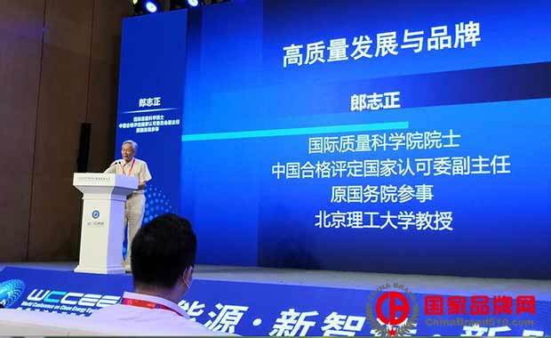 郎志正教授出席“世界清洁能源装备大会”并发表主题演讲   国家品牌网