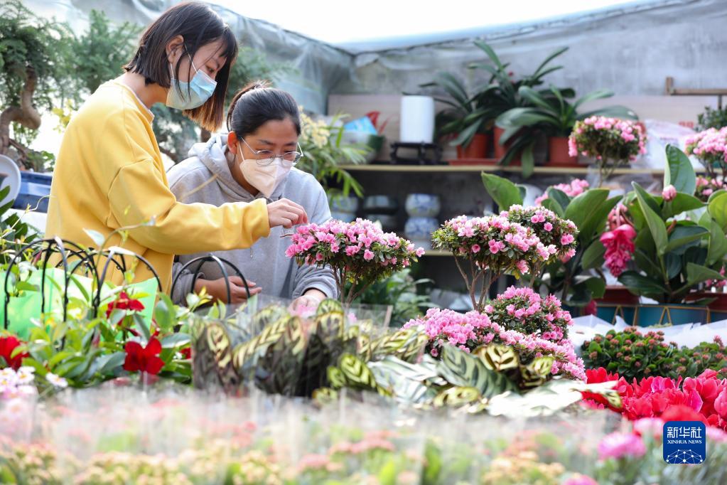 1月10日，人们在河北省石家庄市赵县韩村镇小吕村花卉基地选购鲜花。新华社发（朱涛 摄）