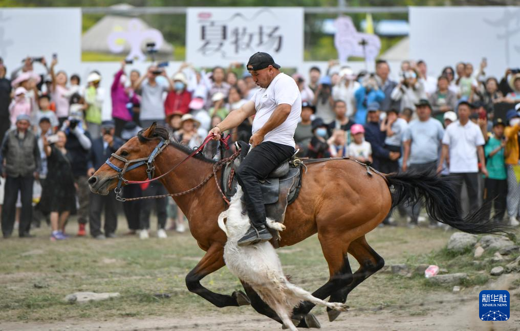 6月15日在“夏牧场·游牧文化旅游节”活动上拍摄的叼羊比赛。