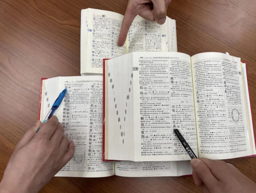 “查无此字”：数字时代的“书同文”难题何解 